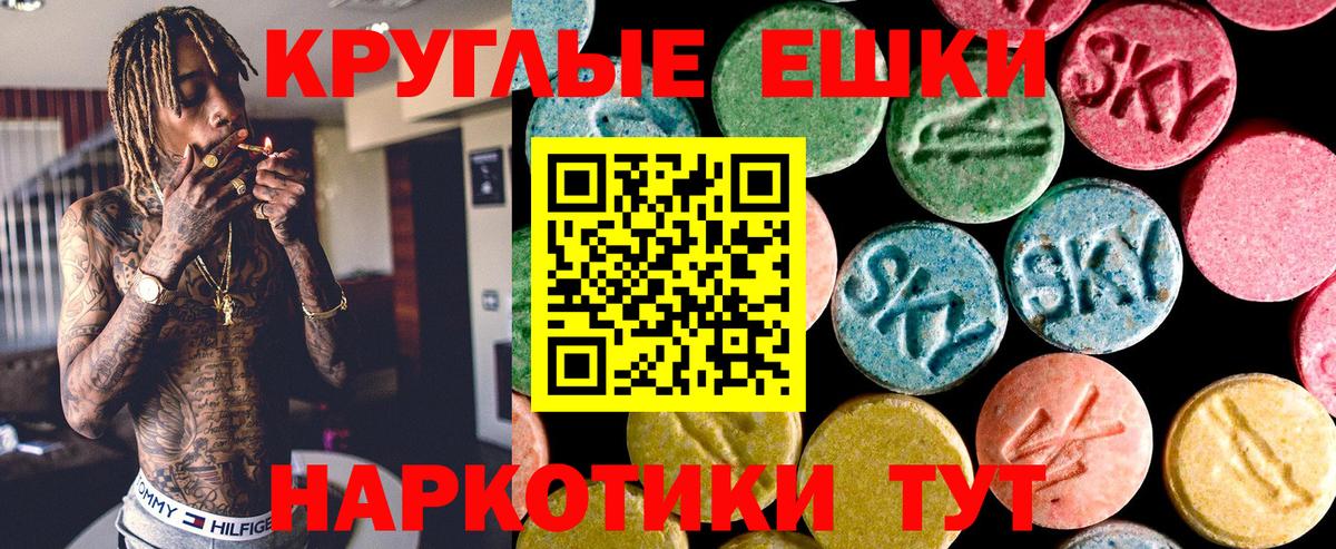 ЭКСТАЗИ Philipp Plein  Вход с VPN  Мурино  Экстази  Ecstasy XTC 