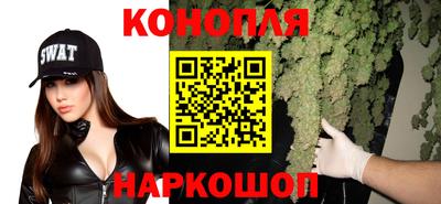 сатива Гусиноозёрск